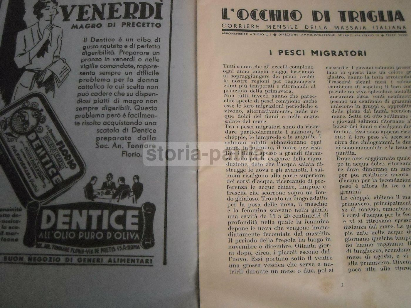 L'Occhio Di Triglia, 1935: Rivista Gastronomica E Ricette Di Pesce
