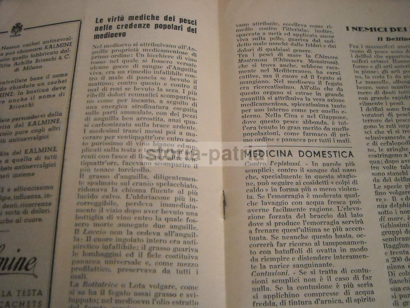 L'Occhio Di Triglia, 1935: Rivista Gastronomica E Ricette Di Pesce