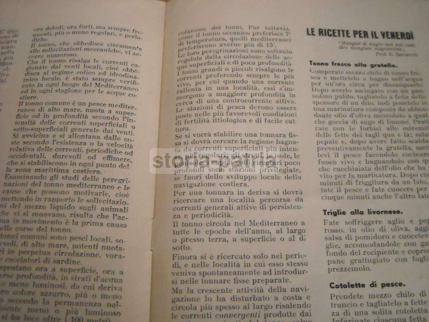 L'Occhio Di Triglia, 1935: Rivista Gastronomica E Ricette Di Pesce