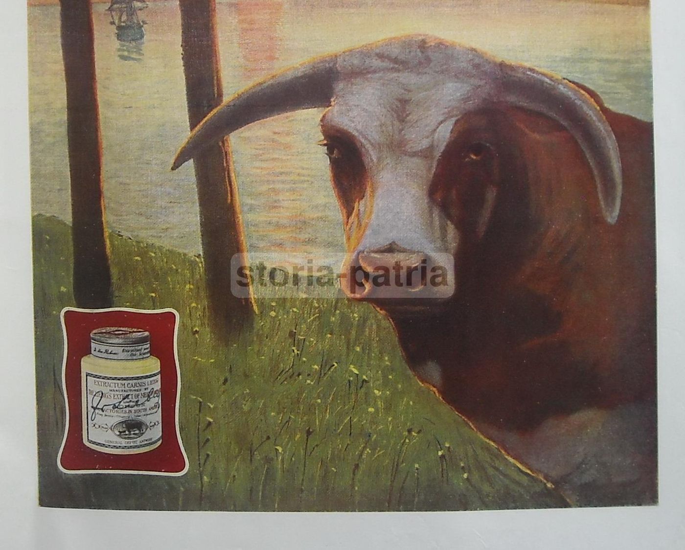 Pubblicità Liebig Estratto Di Carne E Pastiglie Marchesini 1914