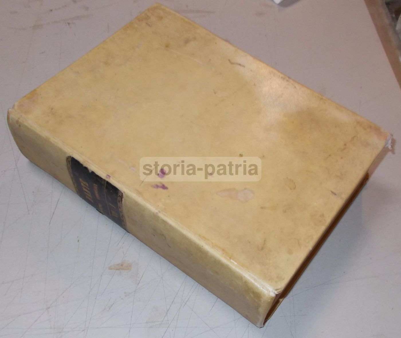 Studi Sulla Divina Commedia Di Dante Alighieri, Prato 1873