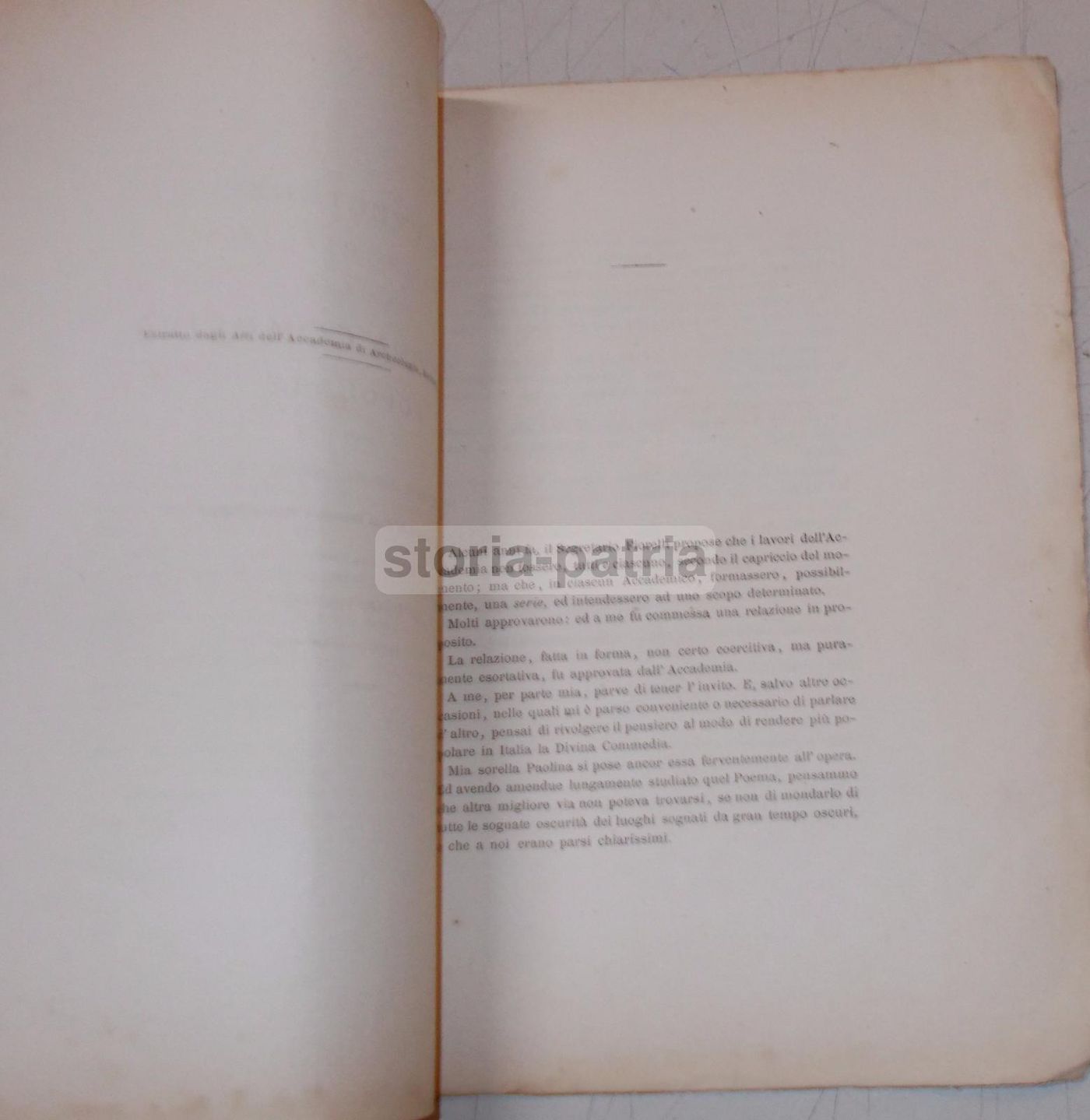Ranieri: Avvertenze Circa Il Modo Da Tenere Per Rendere La Divina Commedia Popolare (Napoli, 1884)
