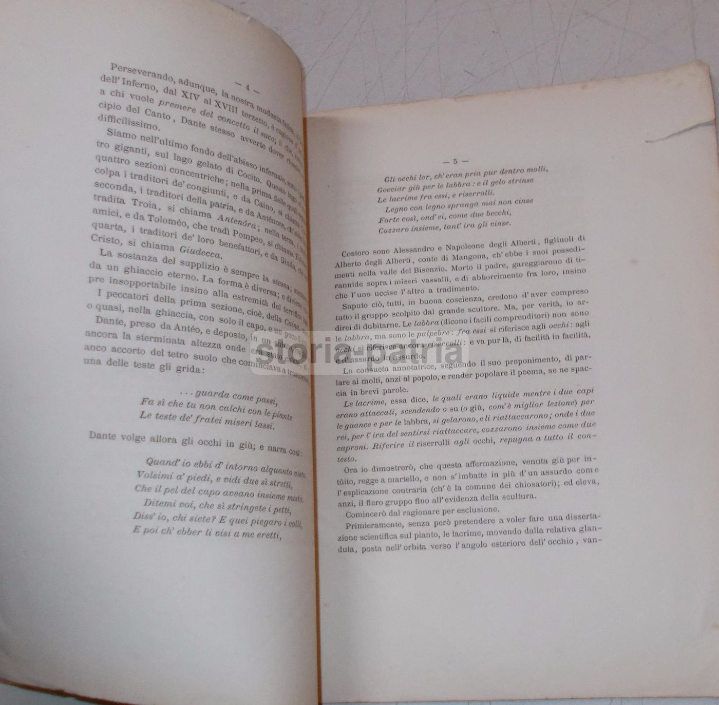 Note Alla Divina Commedia Di Antonio Ranieri, 1881 Napoli