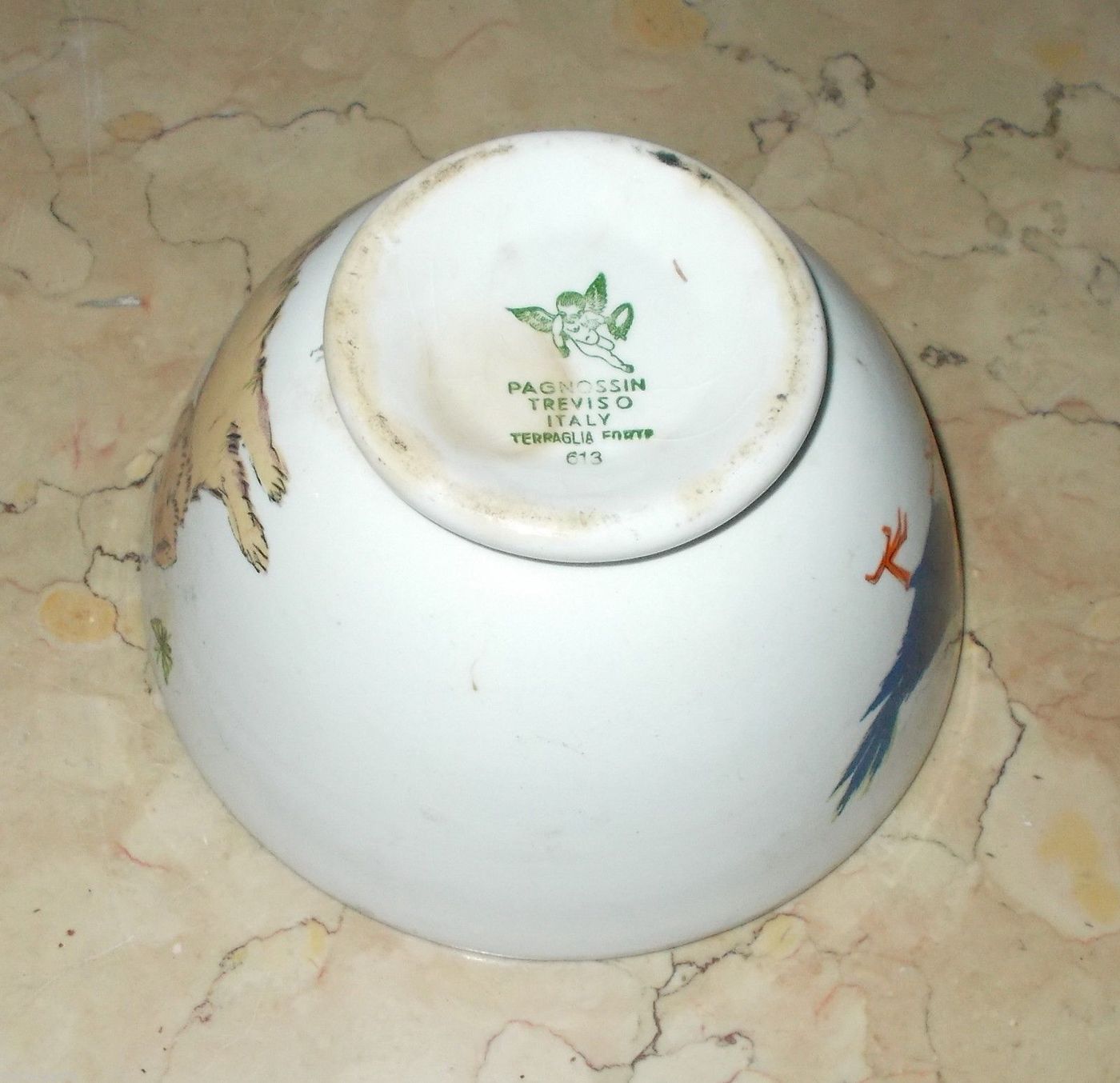 Tazza In Ceramica Pagnossin Treviso Con Decorazioni Di Cane E Tucano, Anni '20