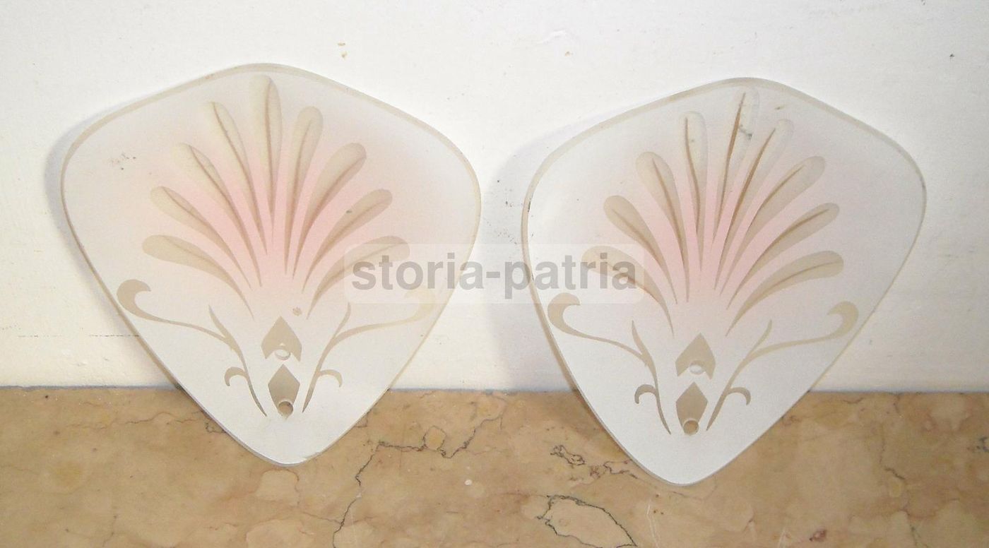 Coppia Di Coppe In Vetro Satinato Per Lampada Con Decori Floreali, Metà Del '900