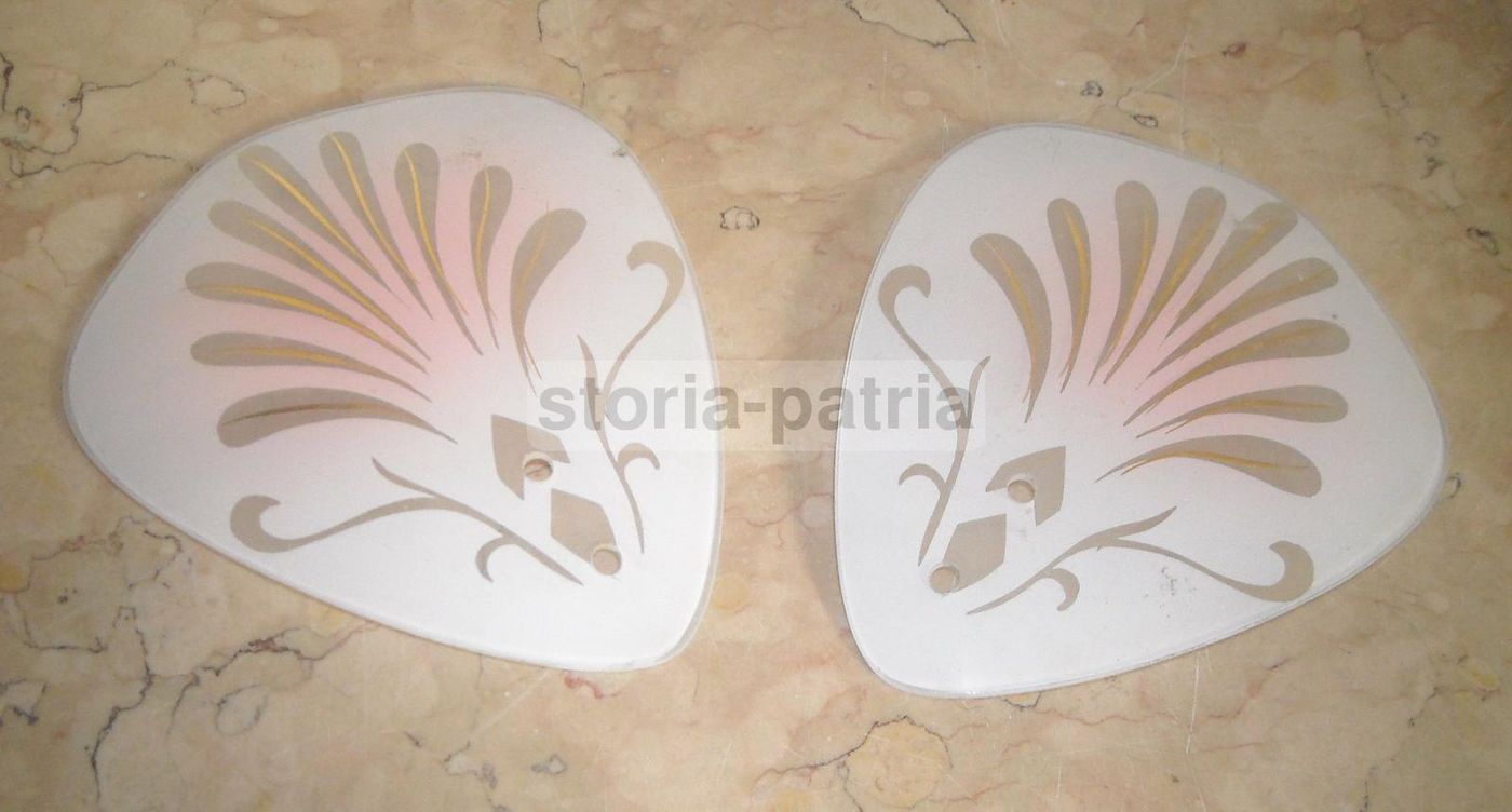 Coppia Di Coppe In Vetro Satinato Per Lampada Con Decori Floreali, Metà Del '900