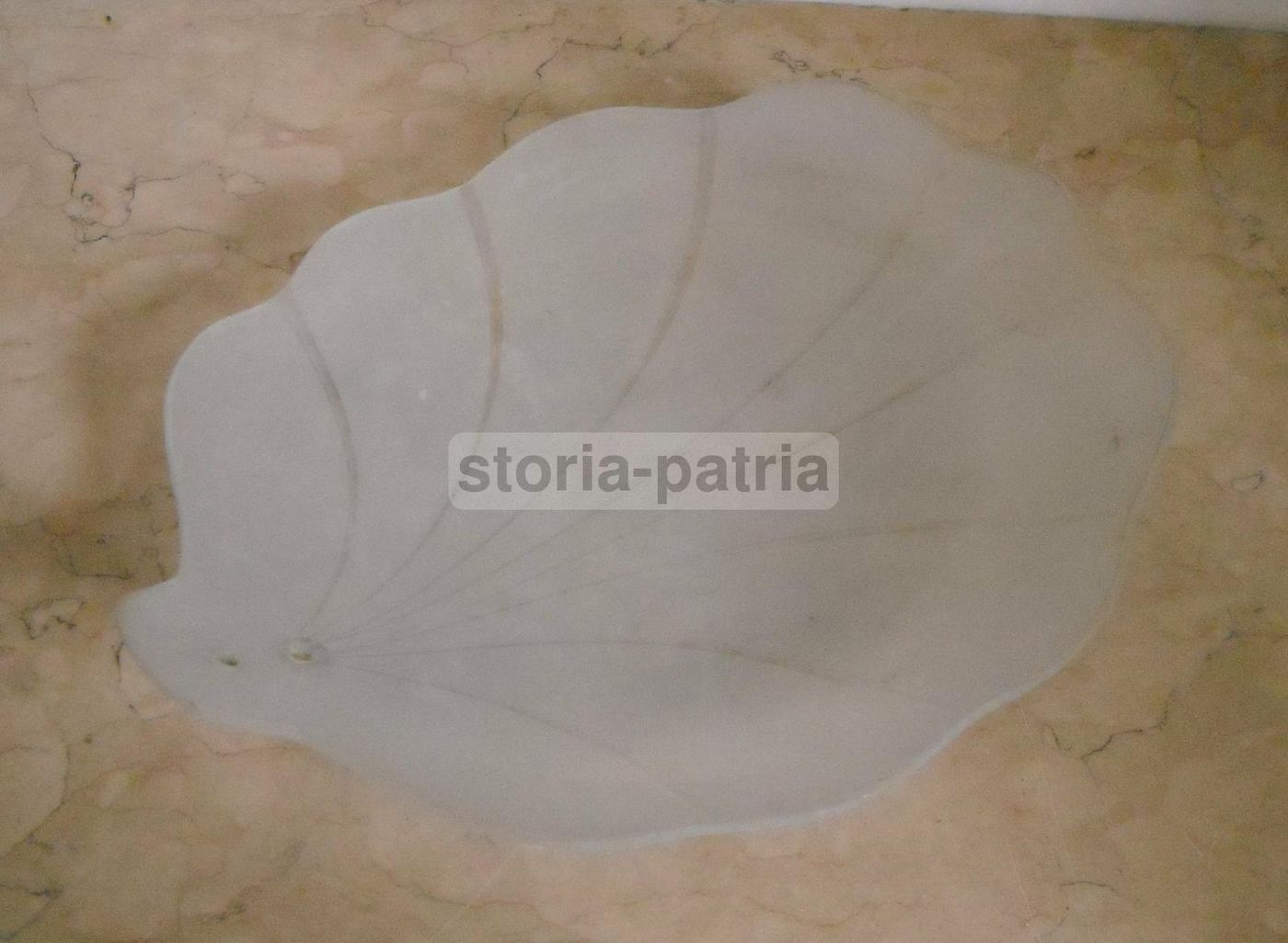 Coppa Paralume In Vetro Satinato A Conchiglia (anni 1930 1960)