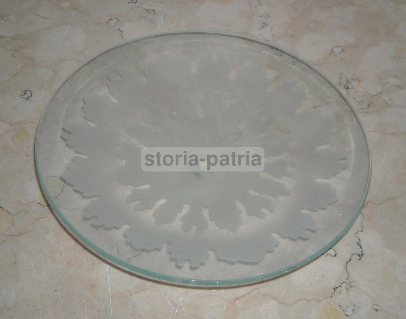 Coppa Vetro Per Lampada Decorata Satinata Vintage, 1930 1960