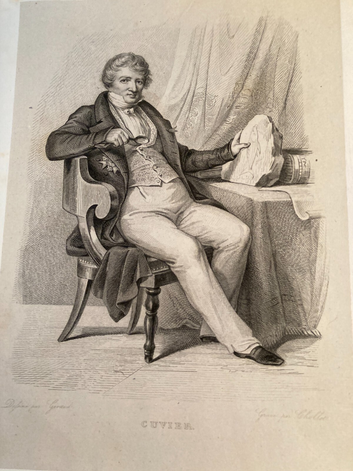 Cuvier   Ritratto, Biologia, Paleontologia