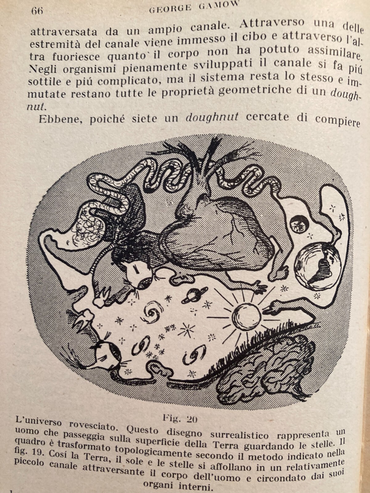 Gamow   Uno, Due, Tre... Infinito (1952)
