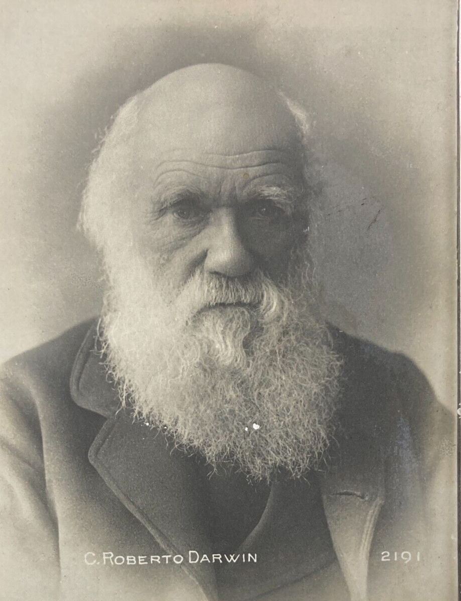 Scienze Naturali: Antica Foto Cartolina. Ritratto Di Charles Robert Darwin