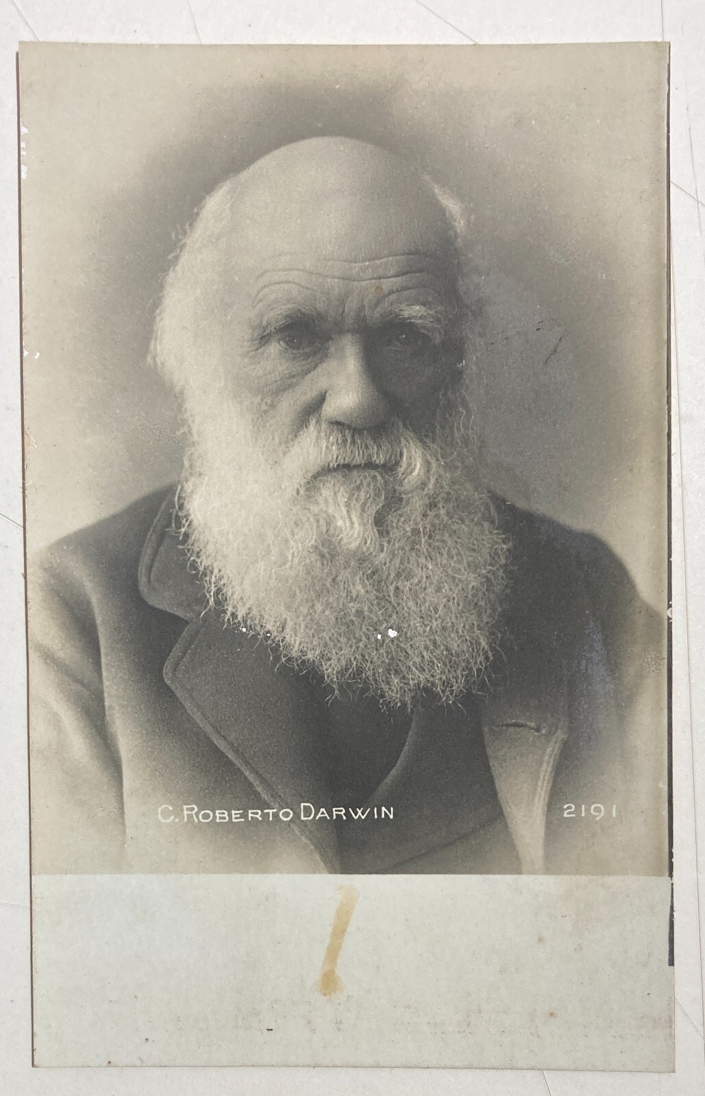 Scienze Naturali: Antica Foto Cartolina. Ritratto Di Charles Robert Darwin