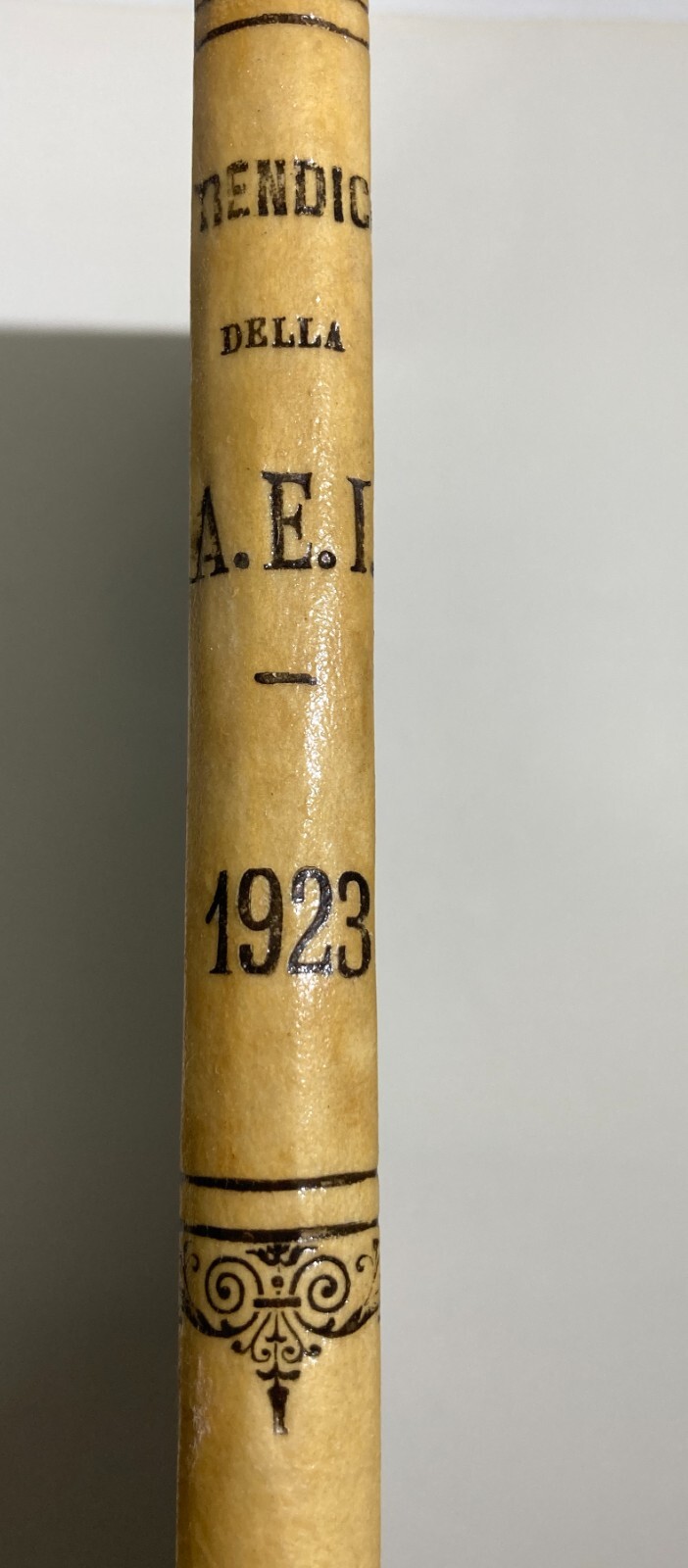 Elettricità, Elettrotecnica, Rendiconti, Radio, Agraria, Illuminazione, Veneto, 1924