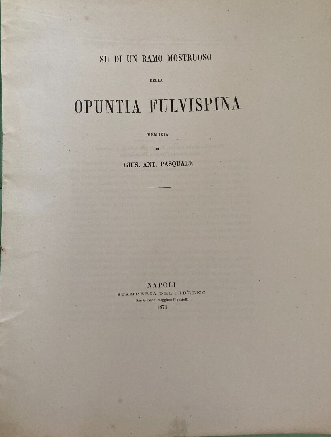 Su Di Un Ramo Mostruoso Della Opuntia Fulvispina   Giuseppe Antonio Pasquale, 1871