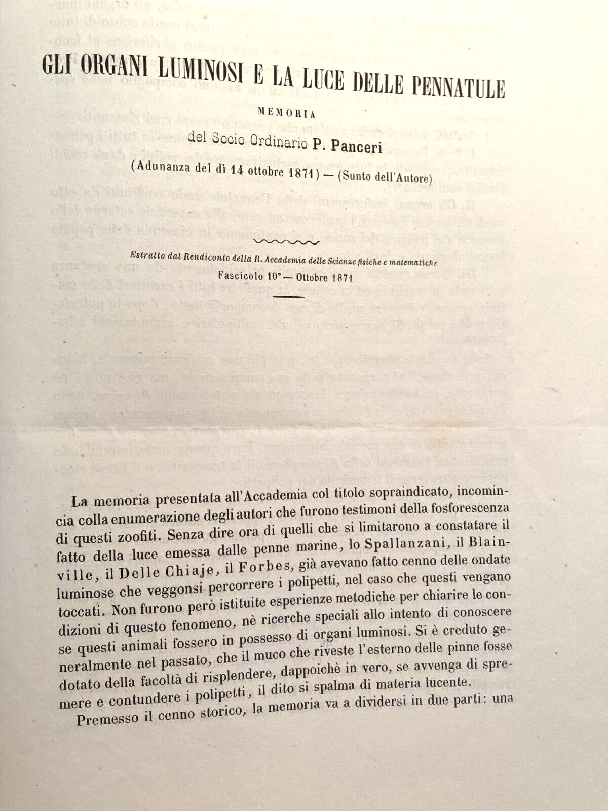 Gli Organi Luminosi E La Luce Delle Pennatule (Panceri, 1874)