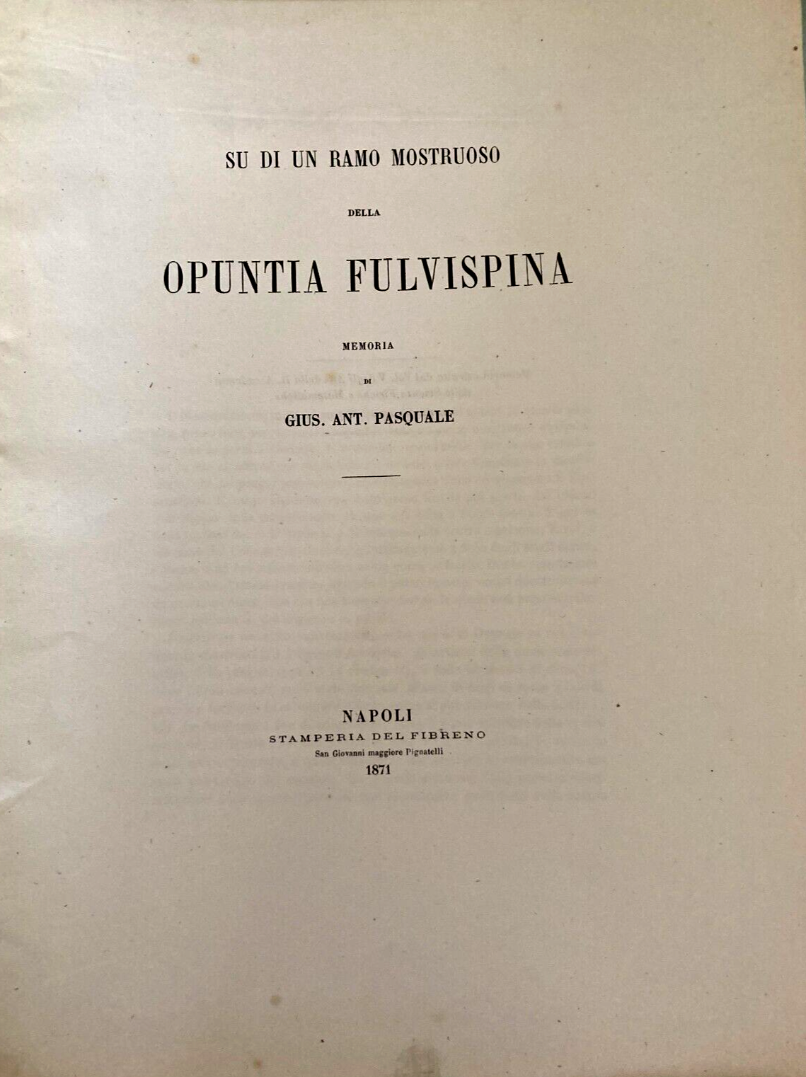 Scienze   Botanica   Accademia   Napoli   G. A. Pasquale