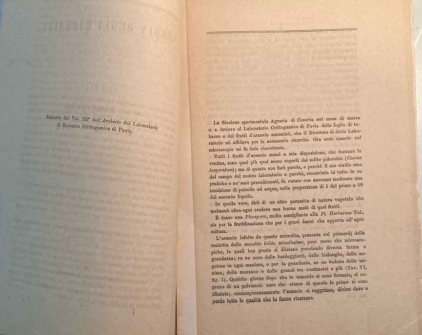 Achille Cattaneo, La Nebbia Delle Esperidi   Trattato Di Patologia Vegetale (1879)