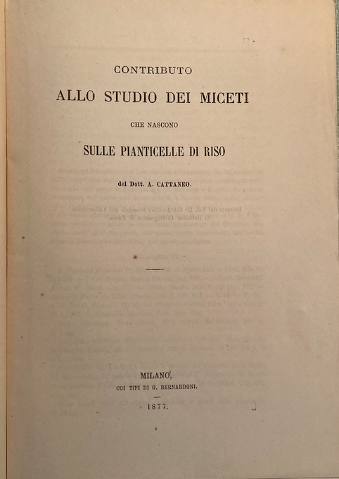 Agraria, Botanica, Riso, Miceti: Antica Edizione, Cattaneo, 1877, Con Due Litografie