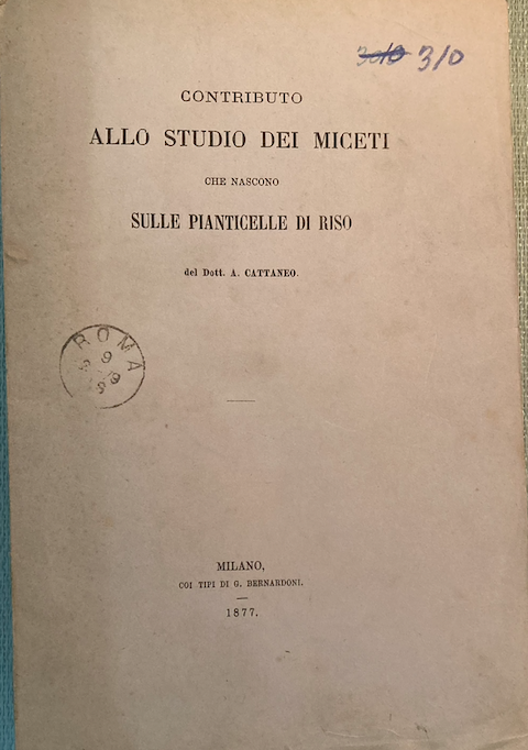 Agraria, Botanica, Riso, Miceti: Antica Edizione, Cattaneo, 1877, Con Due Litografie
