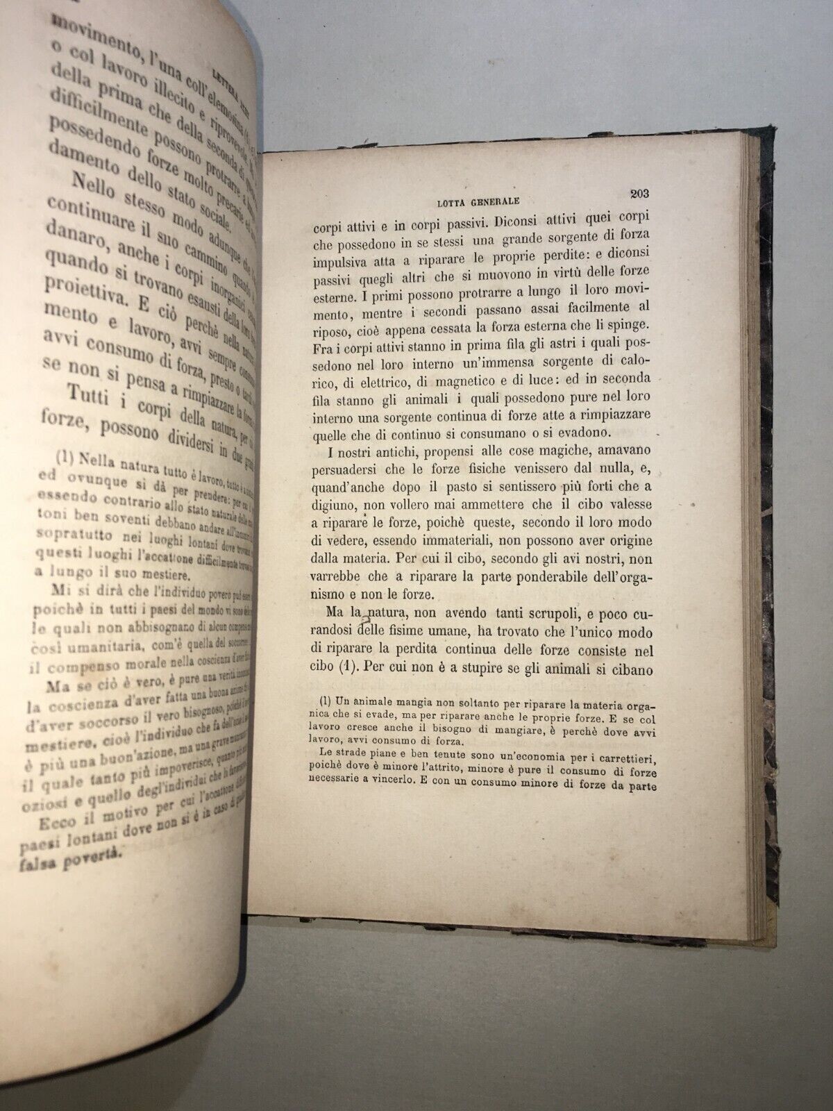 Lettere Cosmologiche: Scienze, Fisica E Metafisica Di Michele Giordano (1872)