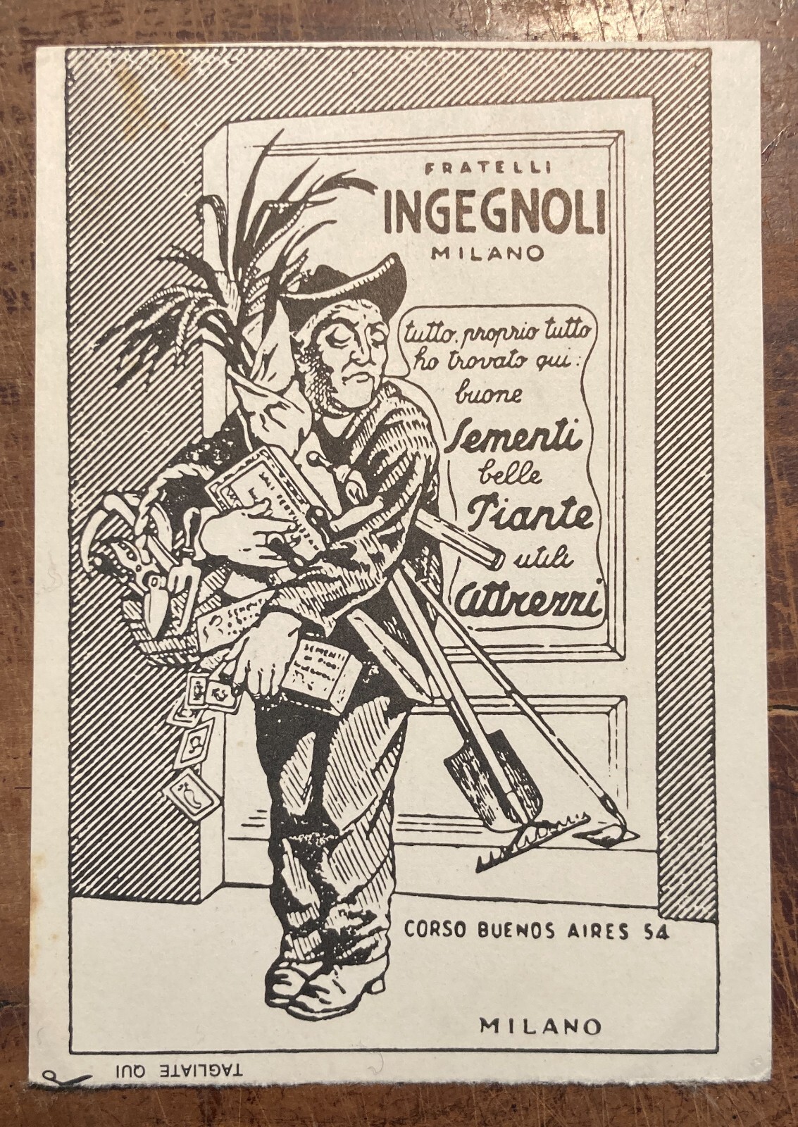 Agraria, Botanica, Sementi, Piante, Attrezzi. Pubblicitaria Ingegnoli, Milano