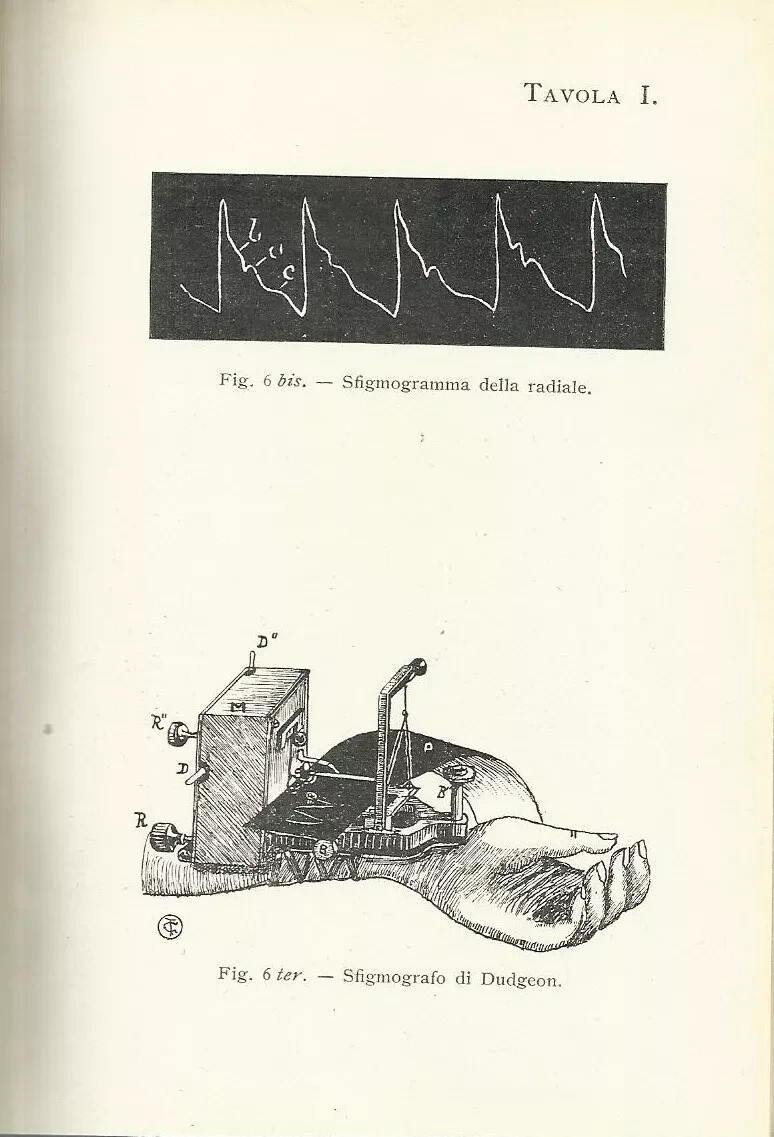 Medicina: Semeiotica Fisica E Funzionale. Umberto Gabbi, Hoepli, 1912