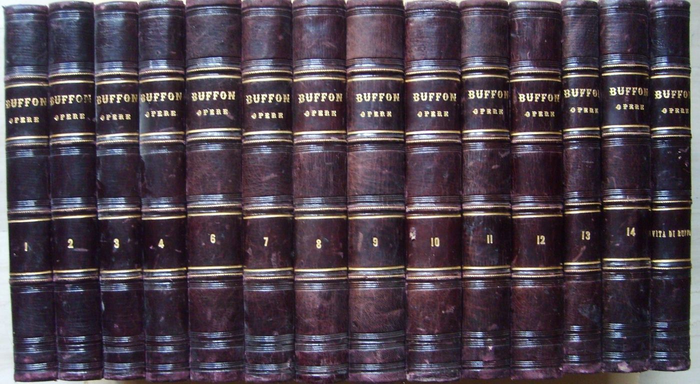 Storia Naturale: Zoologia, Geologia, Minerali, Uccelli. 150 Incisioni