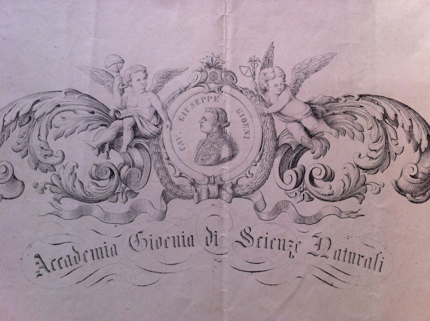 1873 Diploma Accademia Gioenia Di Scienze Naturali, Catania