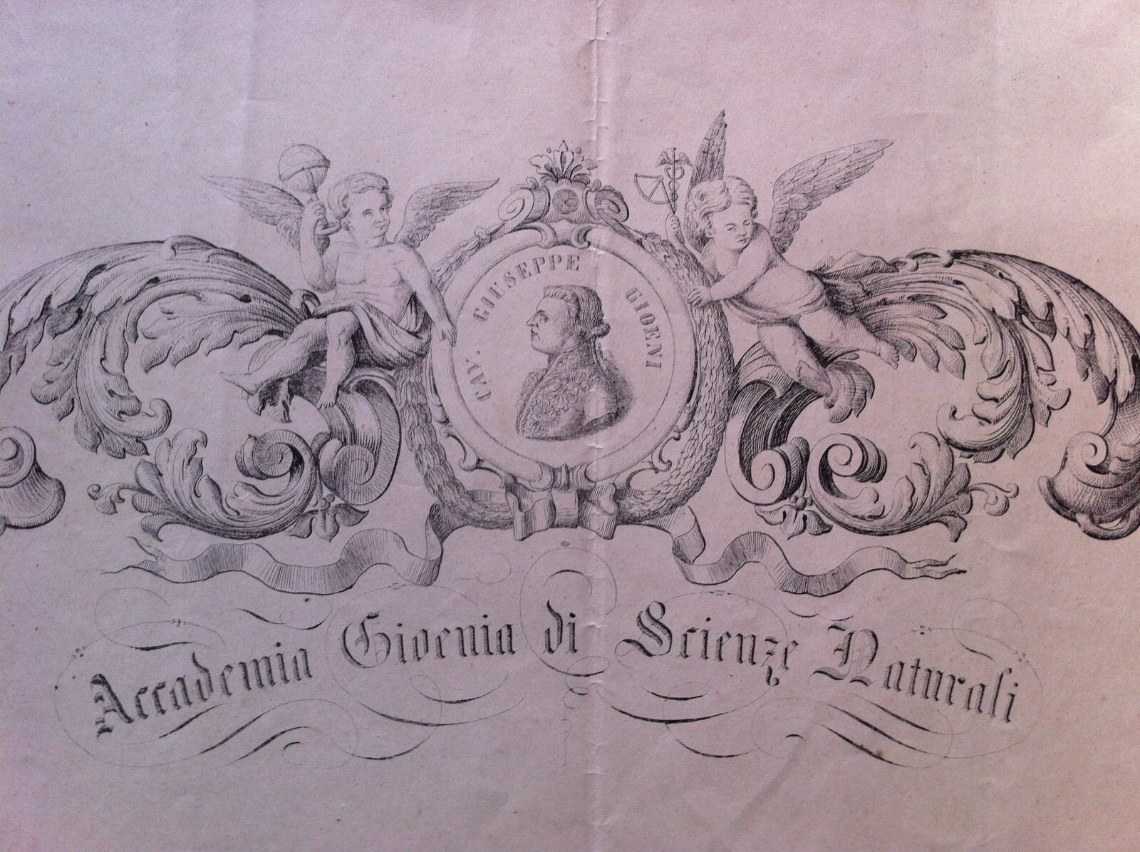 1873 Diploma Accademia Gioenia Di Scienze Naturali, Catania