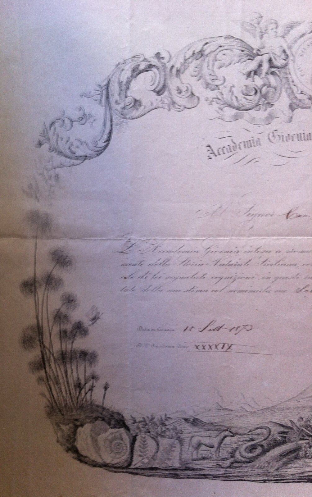 1873 Diploma Accademia Gioenia Di Scienze Naturali, Catania