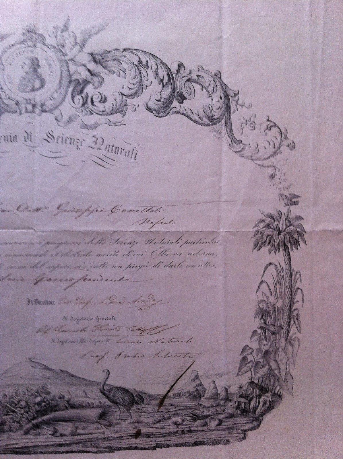 1873 Diploma Accademia Gioenia Di Scienze Naturali, Catania