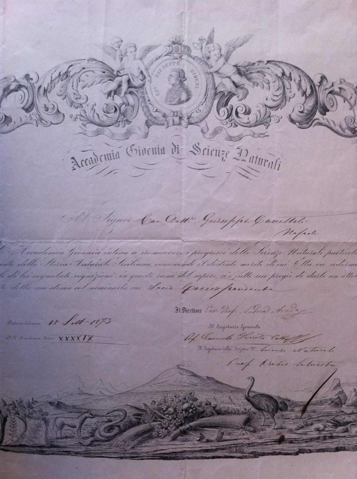 1873 Diploma Accademia Gioenia Di Scienze Naturali, Catania