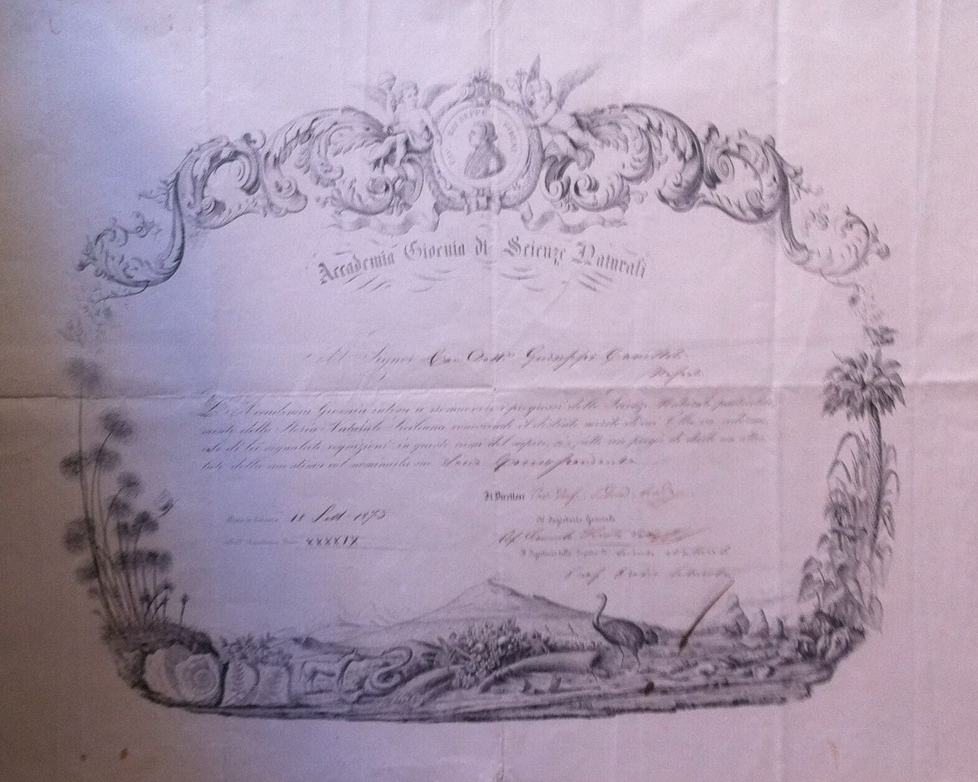 1873 Diploma Accademia Gioenia Di Scienze Naturali, Catania