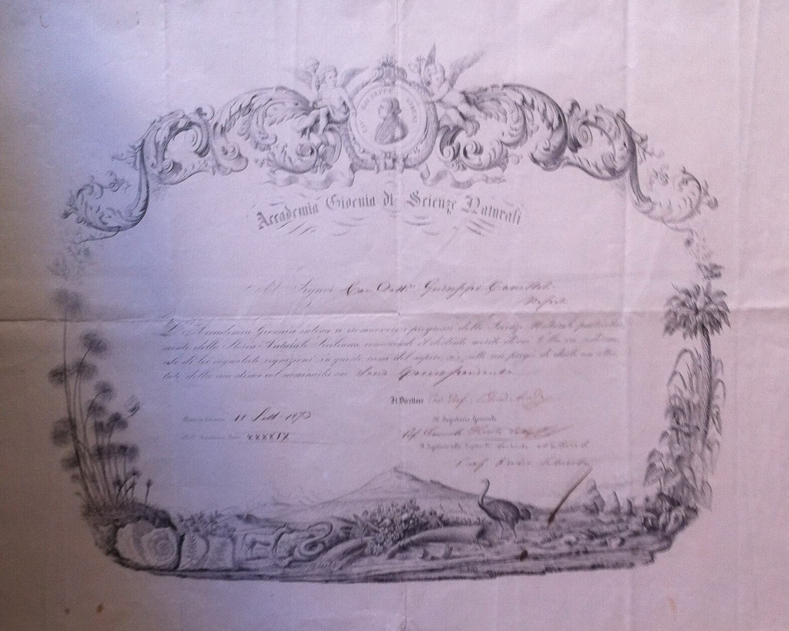 1873 Diploma Accademia Gioenia Di Scienze Naturali, Catania