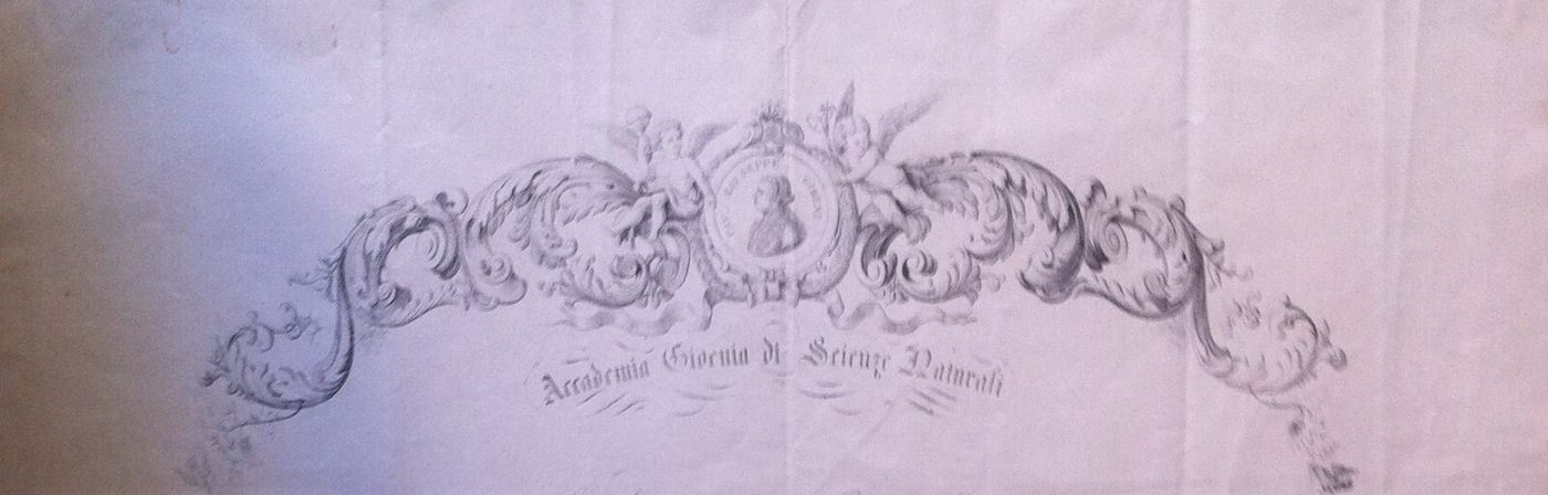 1873 Diploma Accademia Gioenia Di Scienze Naturali, Catania