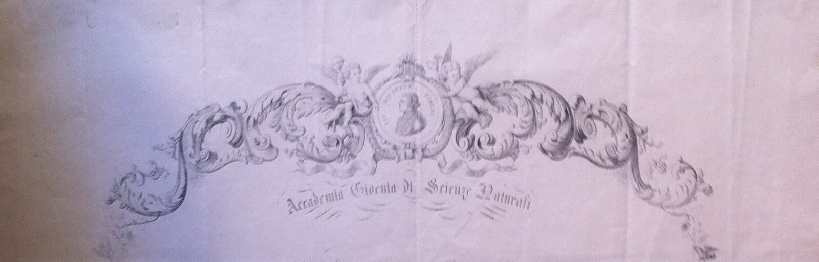 1873 Diploma Accademia Gioenia Di Scienze Naturali, Catania