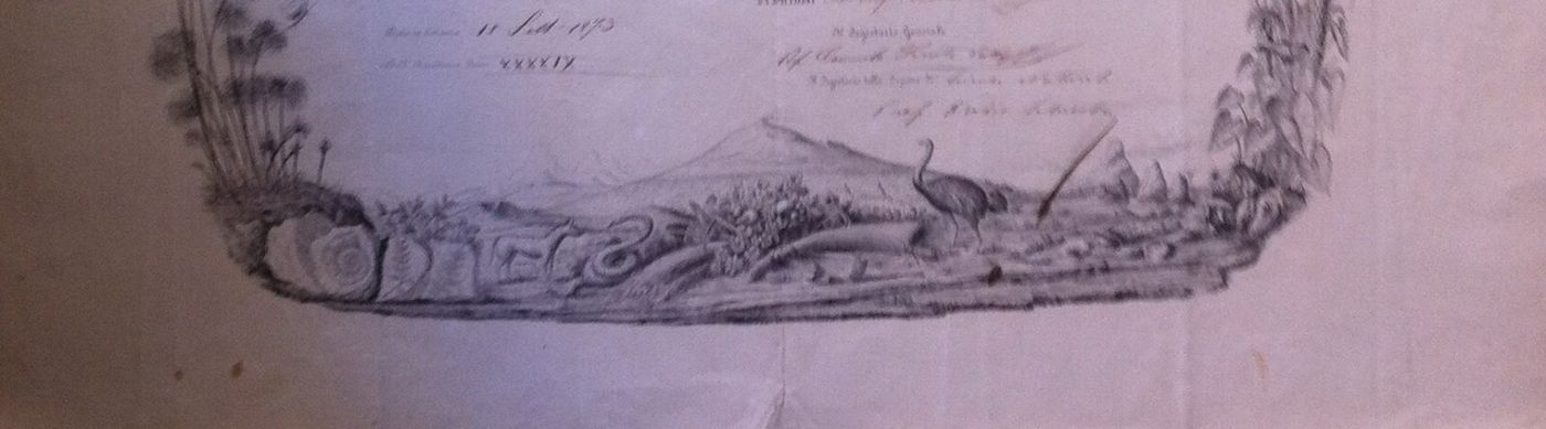 1873 Diploma Accademia Gioenia Di Scienze Naturali, Catania