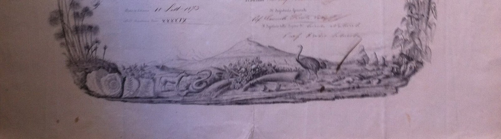 1873 Diploma Accademia Gioenia Di Scienze Naturali, Catania