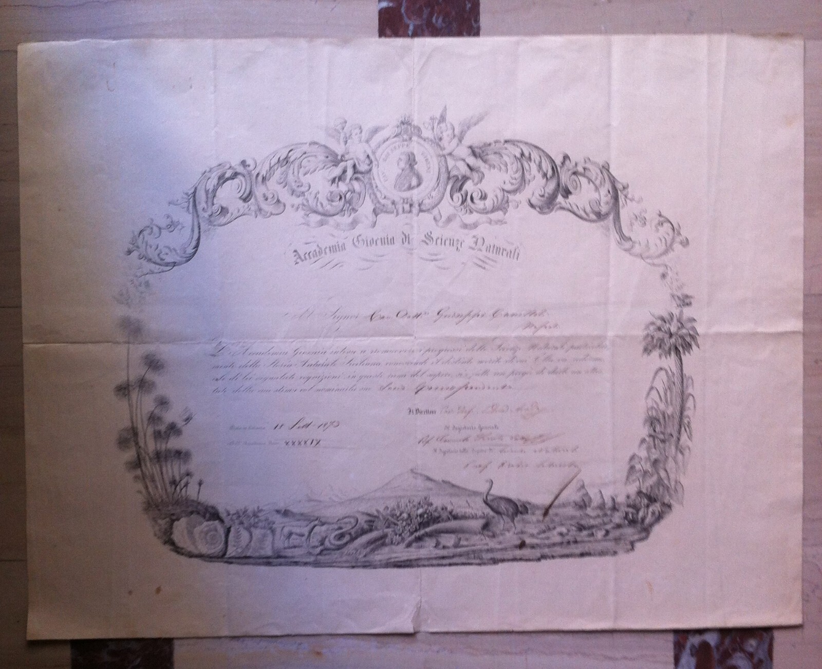 1873 Diploma Accademia Gioenia Di Scienze Naturali, Catania