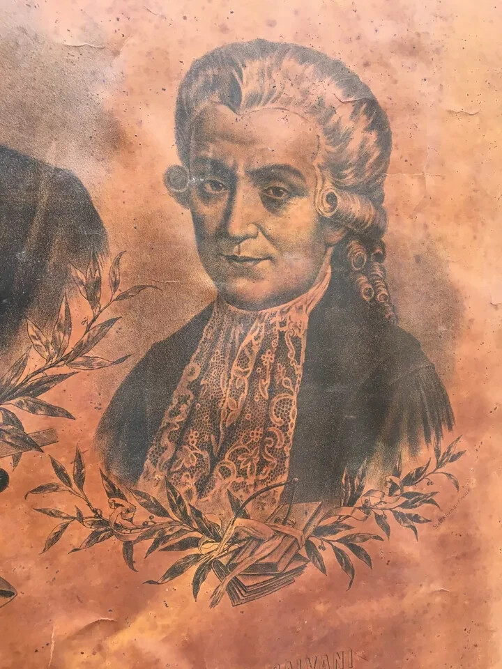 Fisica, Scienziati: Marconi, Volta, Galvani. Araldica, Bologna. Lito Mazzoli, Puccioni