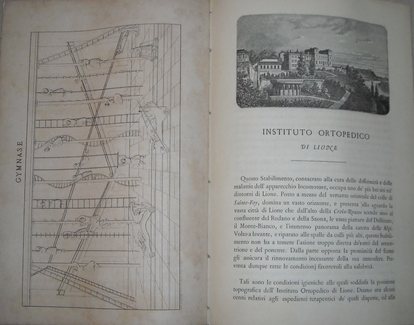 Medicina, Ortopedia, Istituto Ortopedico Lione, Dr. Pravaz, Ginnastica Correttiva