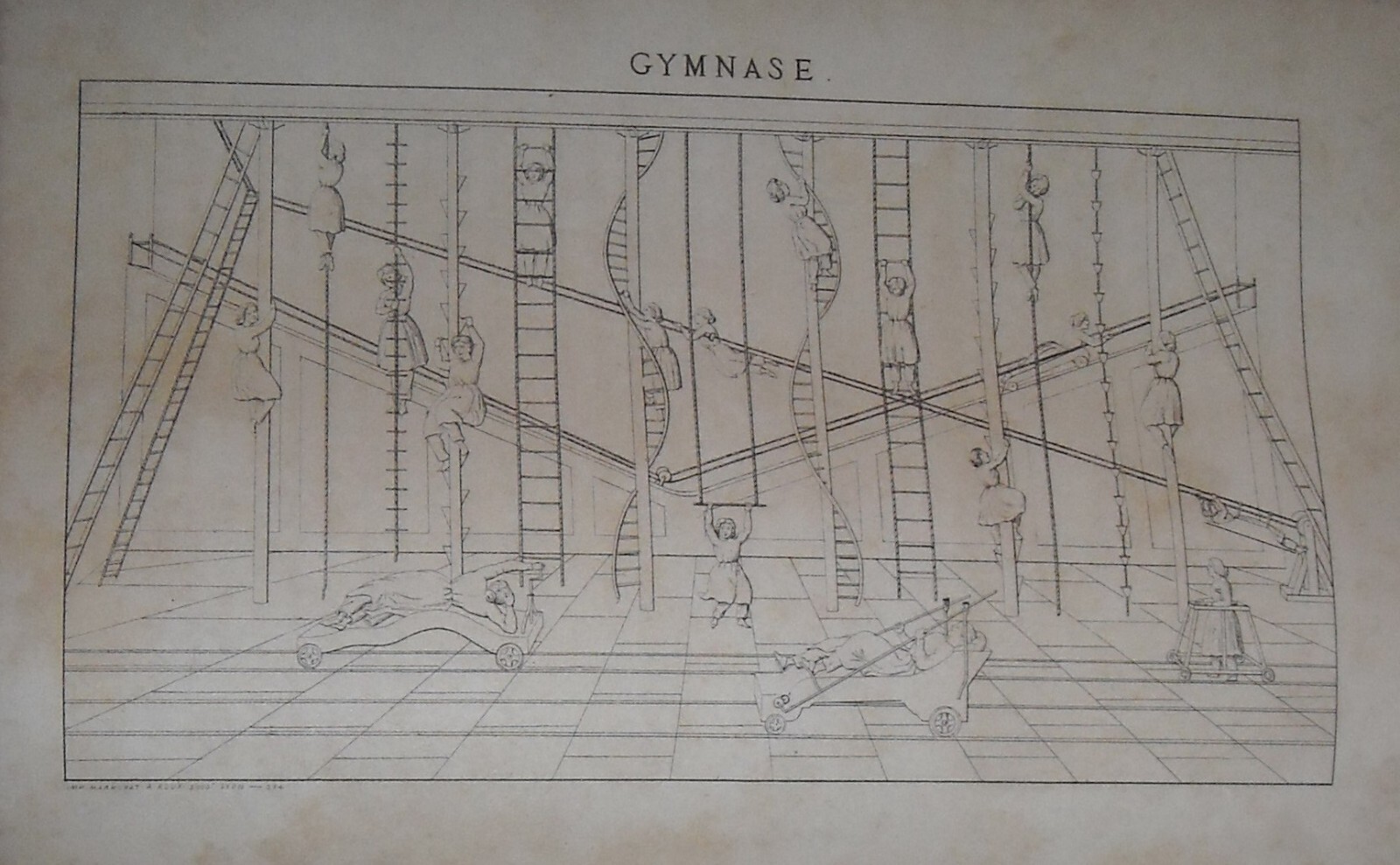 Medicina, Ortopedia, Istituto Ortopedico Lione, Dr. Pravaz, Ginnastica Correttiva