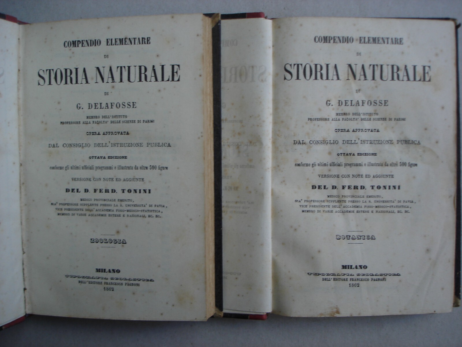 Storia Naturale, Zoologia E Botanica. G. Delafosse, 1862