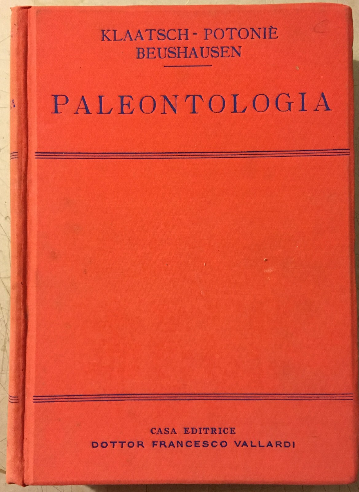 Paleontologia, Antropologia, Fossili, Geologia, Botanica E Zoologia Illustrata