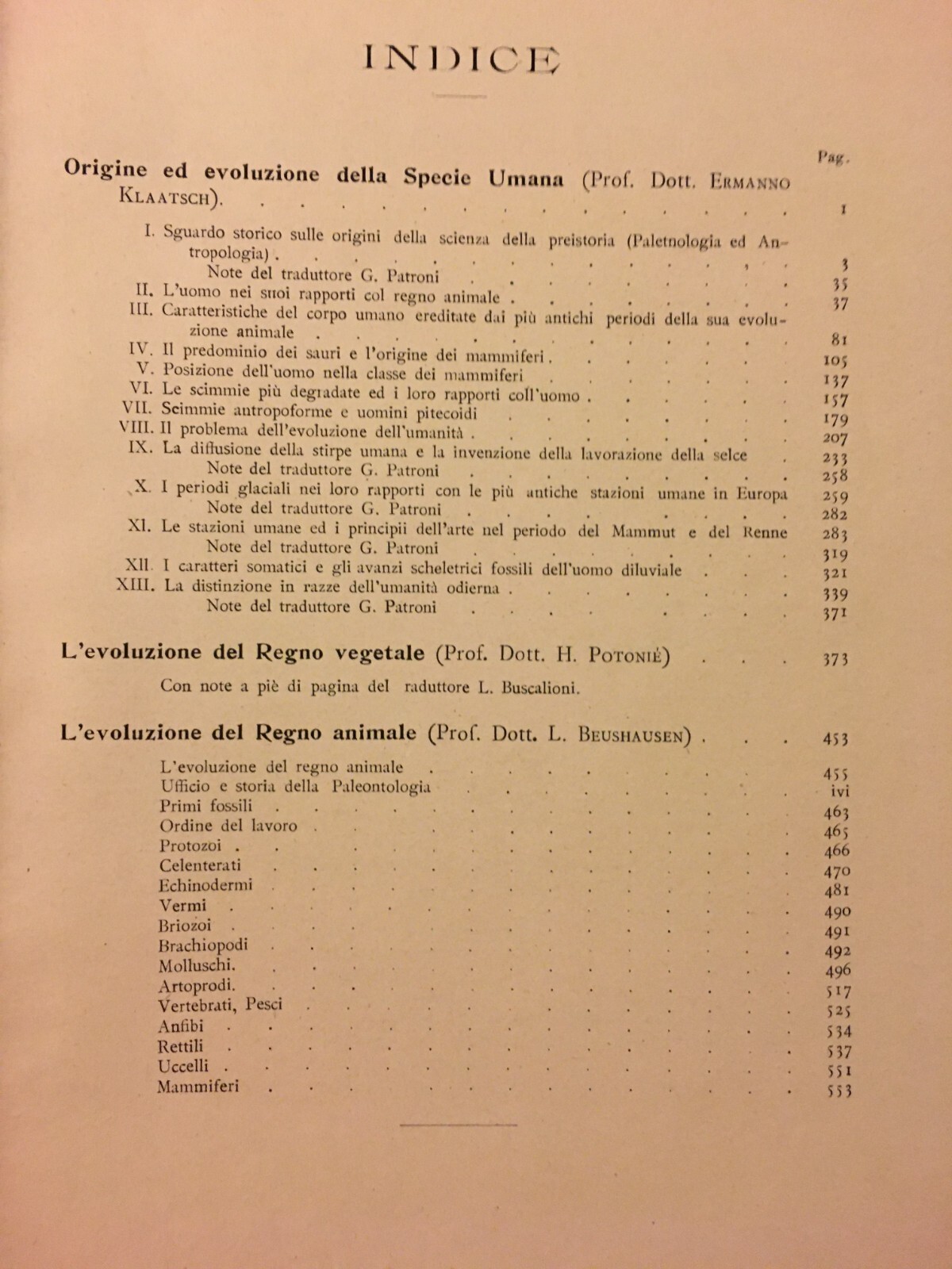 Paleontologia, Antropologia, Fossili, Geologia, Botanica E Zoologia Illustrata