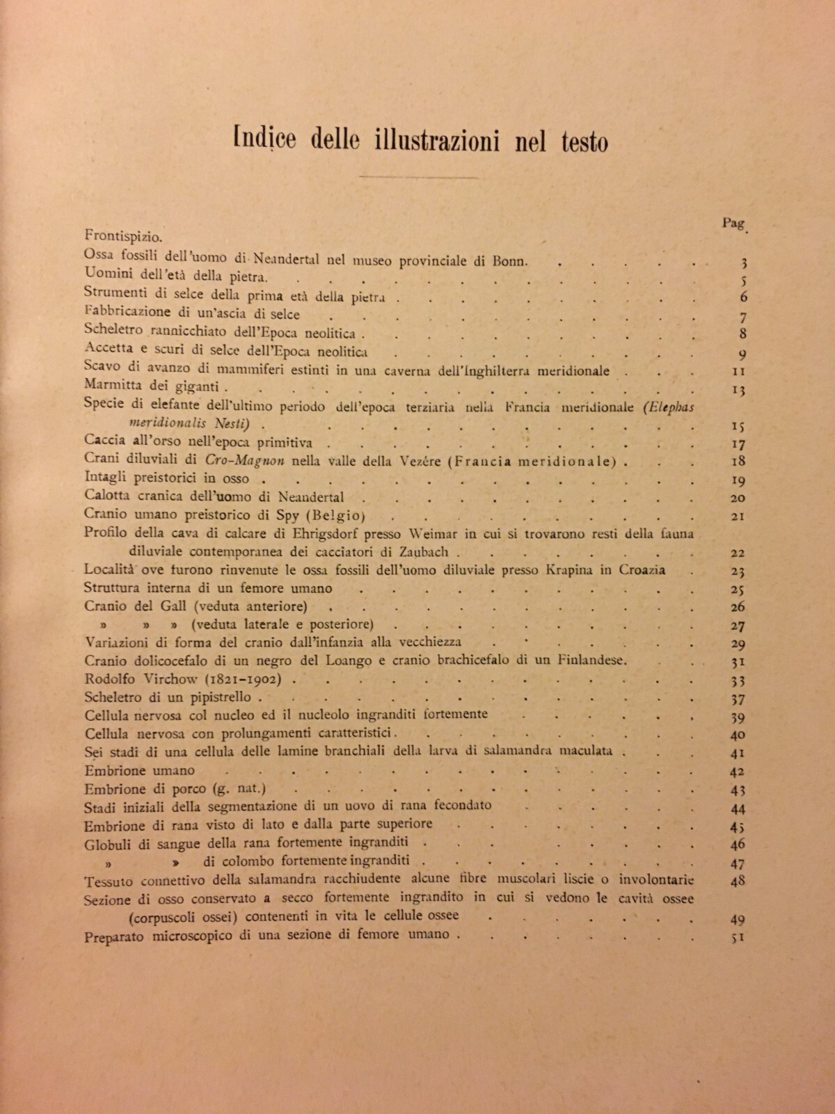 Paleontologia, Antropologia, Fossili, Geologia, Botanica E Zoologia Illustrata