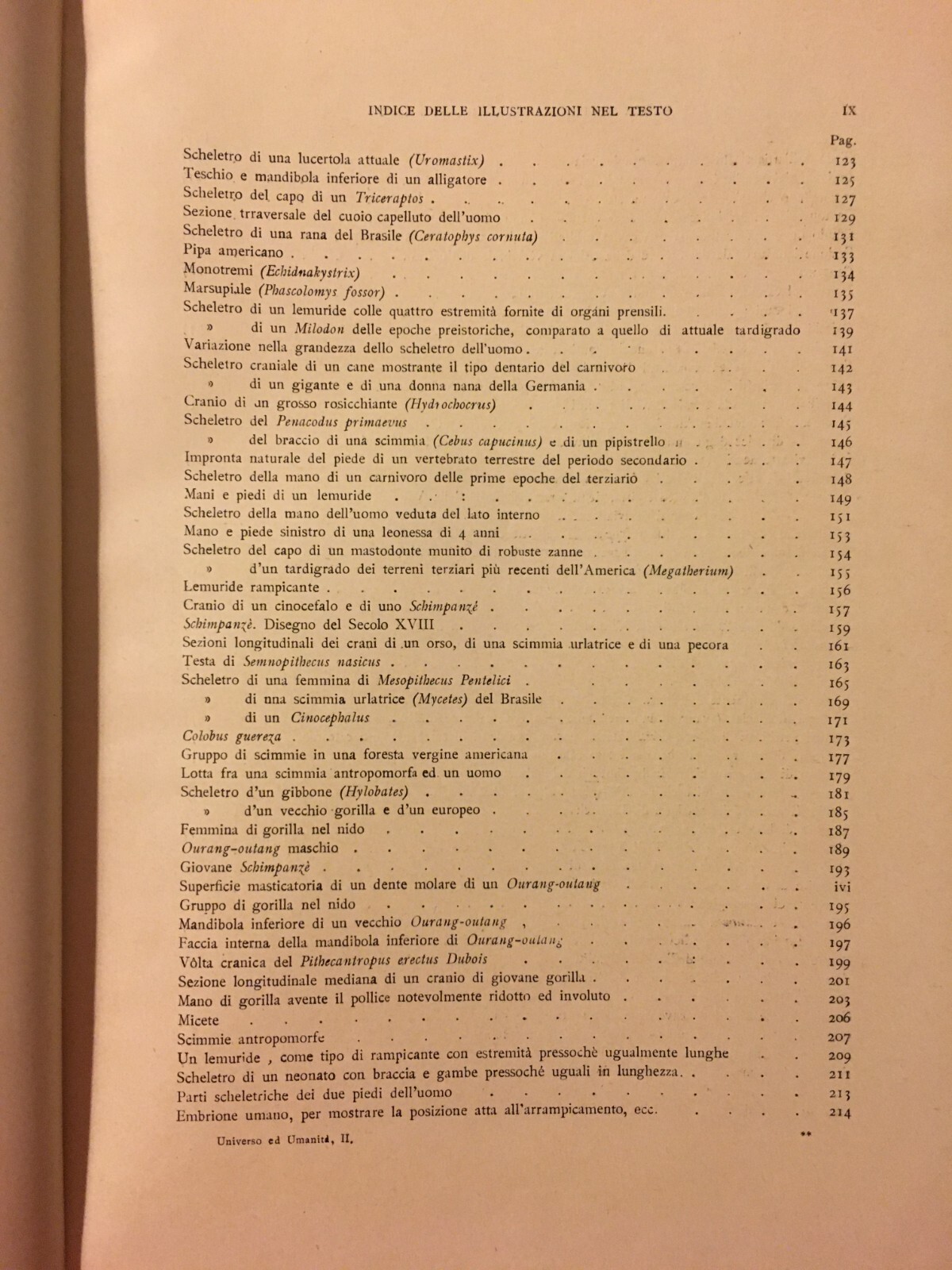 Paleontologia, Antropologia, Fossili, Geologia, Botanica E Zoologia Illustrata