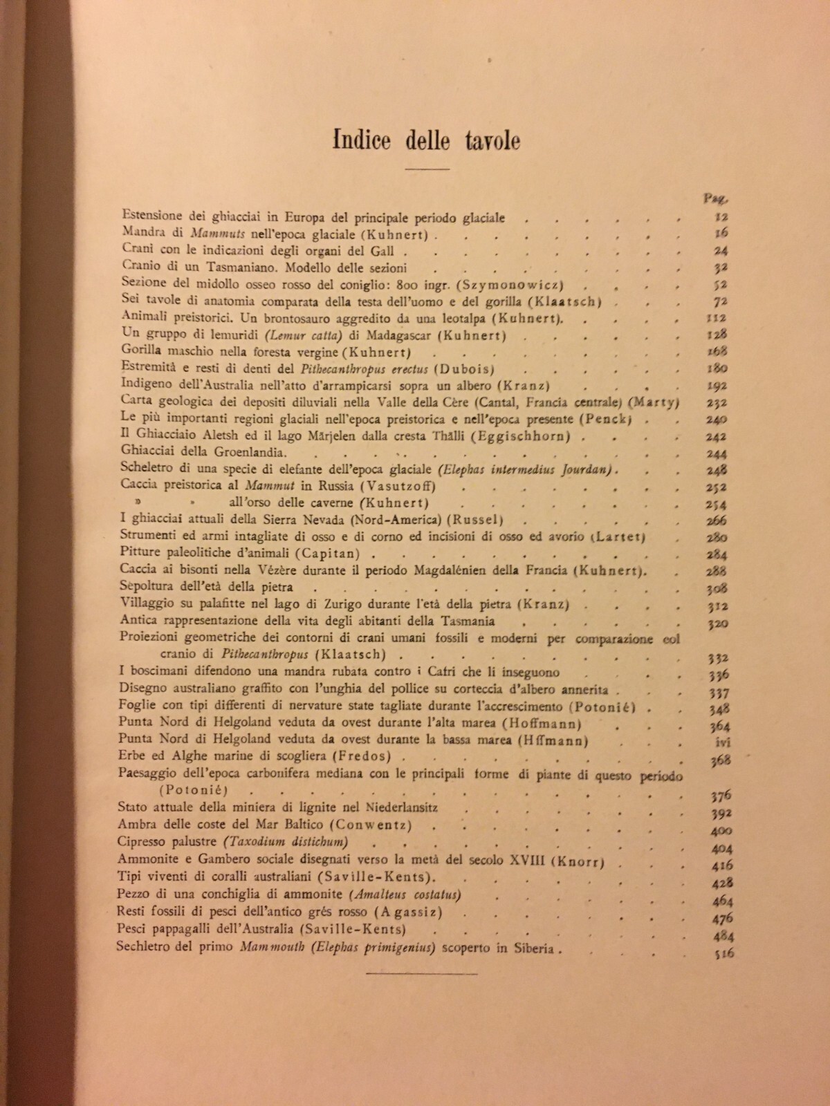 Paleontologia, Antropologia, Fossili, Geologia, Botanica E Zoologia Illustrata