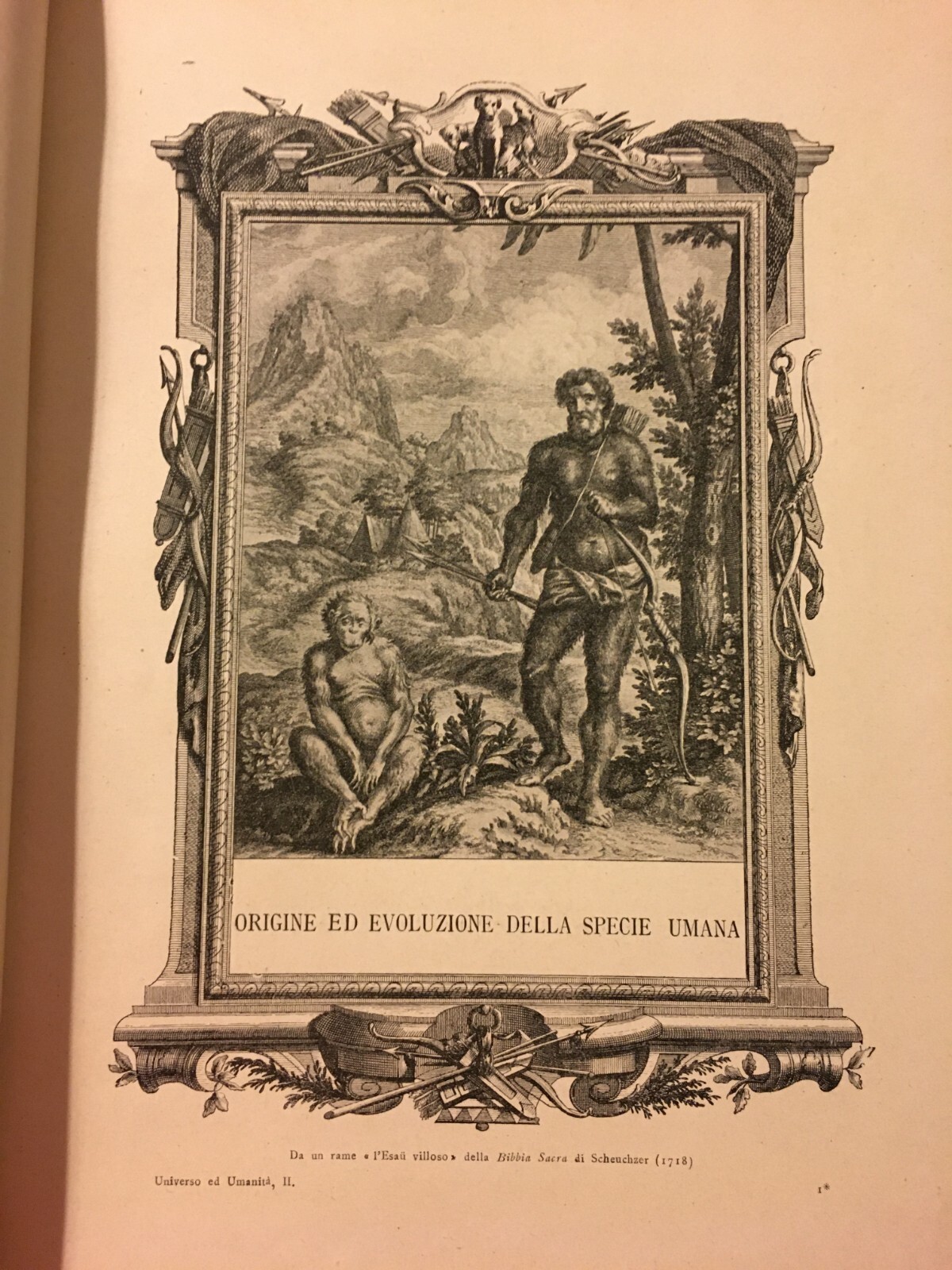 Paleontologia, Antropologia, Fossili, Geologia, Botanica E Zoologia Illustrata