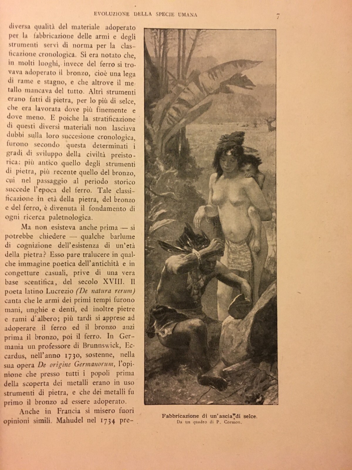 Paleontologia, Antropologia, Fossili, Geologia, Botanica E Zoologia Illustrata